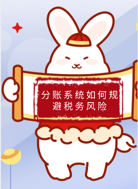 分账系统如何规避税务风险？