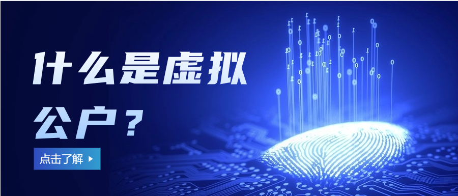 什么是虚拟公户？