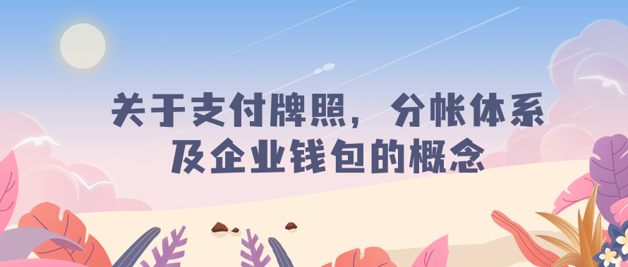 关于支付牌照，分帐体系及企业钱包的概念
