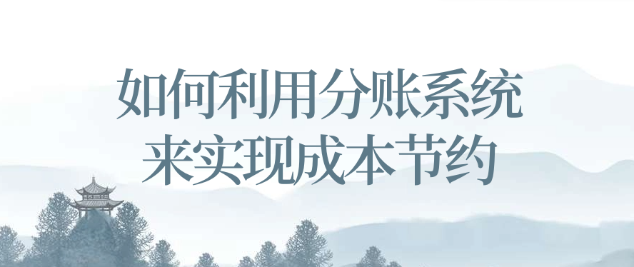 如何利用分账系统来实现成本节约