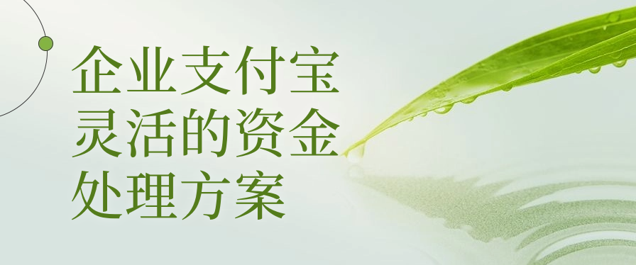 企业支付宝灵活的资金处理方案