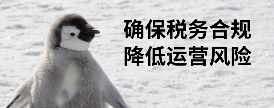 确保税务合规，降低运营风险