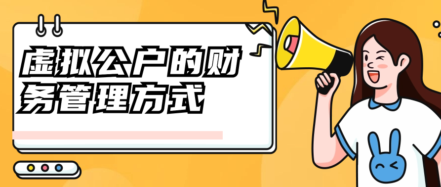 虚拟公户的财务管理方式