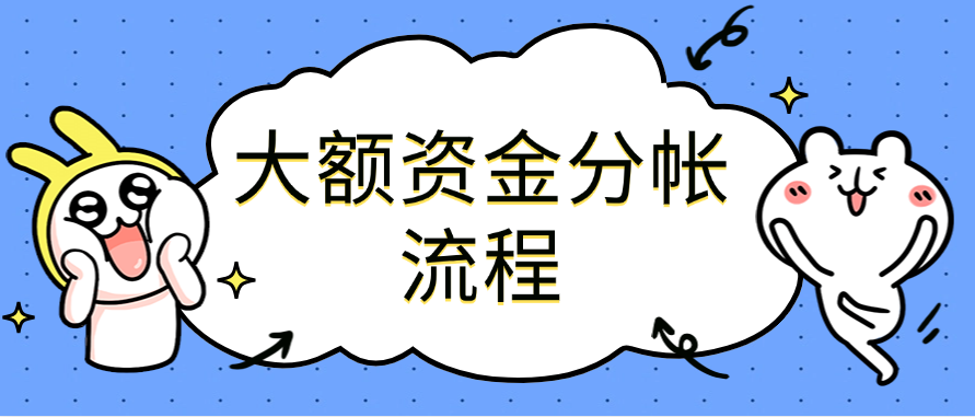 大额资金分帐流程