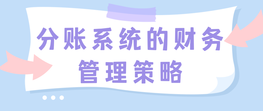 分账系统的财务管理策略