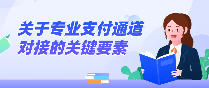 关于专业支付通道对接的关键要素