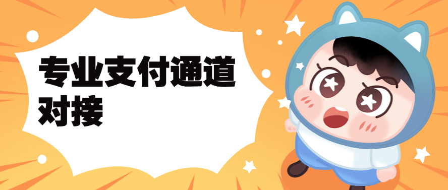 专业支付通道对接