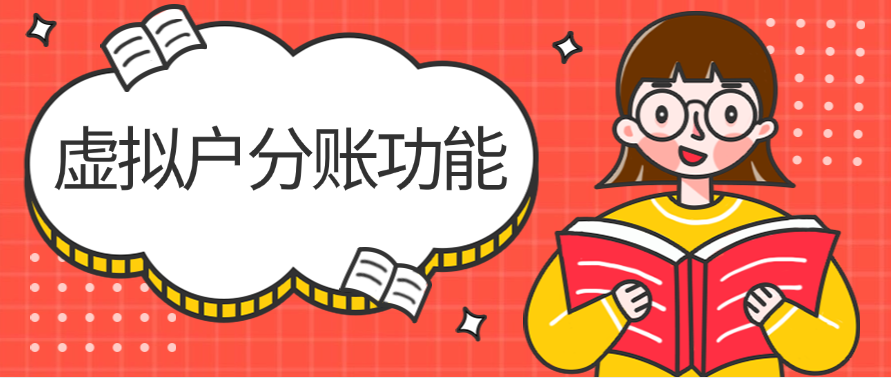 虚拟户分账功能