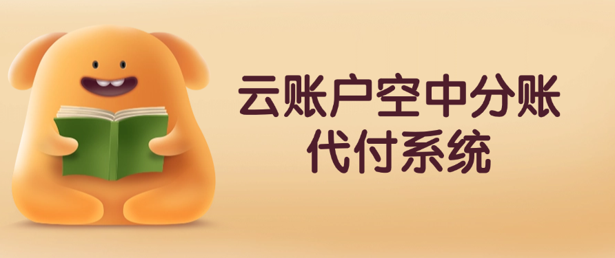 云账户空中分账代付系统