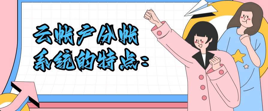 云帐户分帐系统的特点：
