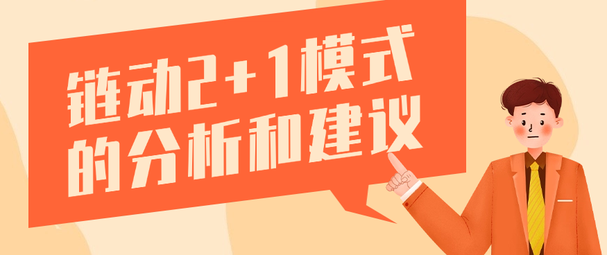 链动2+1模式的分析和建议