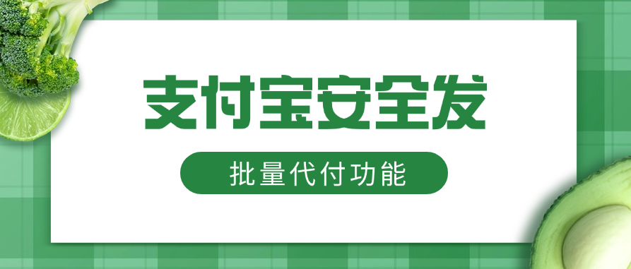 关于支付宝安全发批量代付功能的详细介绍