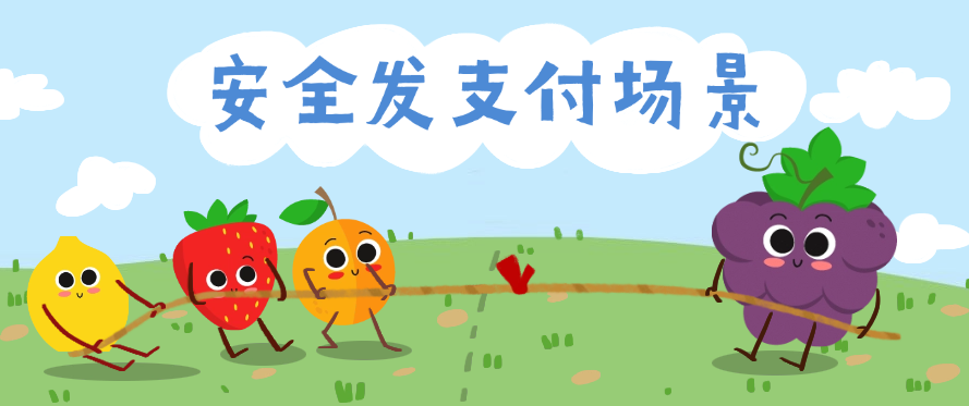 安全发支付场景的具体介绍